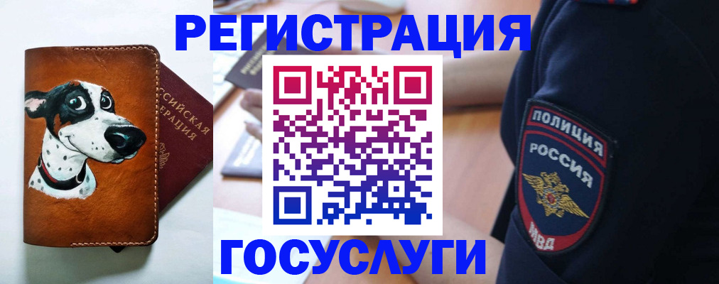 временная регистрация в квартире в Десногорске